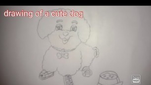 '#drawing of a cute dog#'