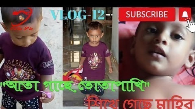 '\"আতা গাছে তোতাপাখি\" শিখে গেছে মাহির| Ata Gache Tota Pakhi Vlog-12 @Katie Cutie Kids TV'