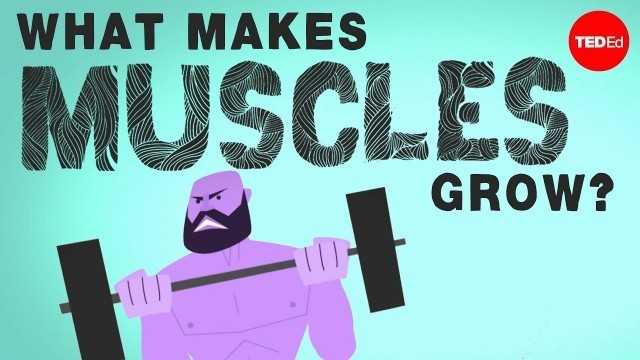 'What makes muscles grow? - Jeffrey Siegel'