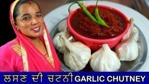 'ਪੰਜਾਬੀ ਲਸਣ ਦੀ ਚਟਨੀ | Garlic Chutney Recipe in Punjabi'