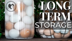 'How to Water Glass Eggs For Long-Term Storage'