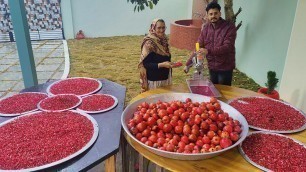 'POMEGRANTE JUICE  | 200KG Pomegranate juice | Fruit Cutting | Healthy Fruit Juice'