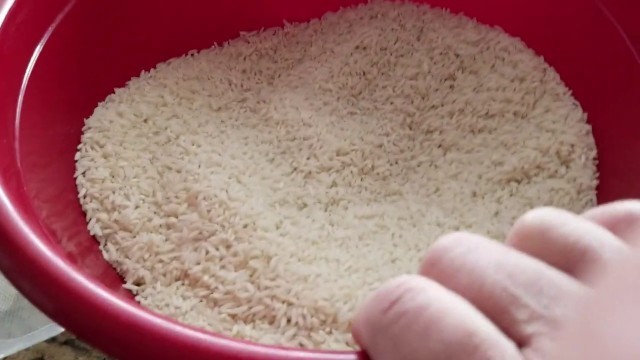 'Long Term Food Storage Rice Mistakes - Part 1'