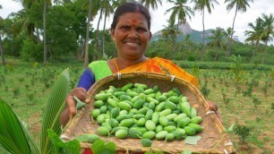 'FRESH !! IVY Gourd Fry | Kovakkai Poriyal | Veg Village Food Cooking in Village | Side Dish Recipes'