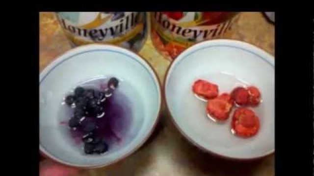 'Long Term Food storage review Honeyville Blueberries and Strawberries'