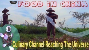 'Primitive Technology Cooking - Culinary Channel Reaching The Universe | Fried Snails - food in china'