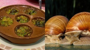 'Japanese snail food in Saizeriya'