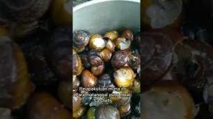 'Buku or farm snails | Exotic food #shorts'