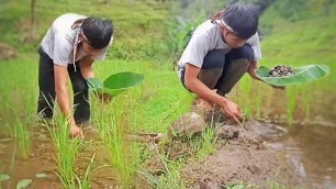 'Wilderness cooking !Find and cook snails,Legendary food from the Sundanese tribe | Awar Kawar'