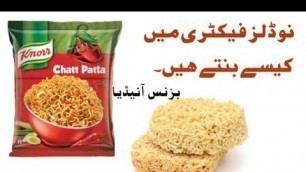 'Noodles Making Process in Factory Urdu & Hindi | Noodles business in Pakistan'