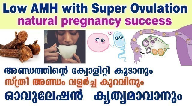 'foods and diet tips Improve Egg Quality , Boost Ovulation , Low AMH | ഓവുലേഷനും അണ്ഡം പൊട്ടാനും'