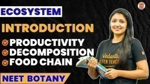 'Ecosystem | Introduction,Productivity,Decomposition,Food Chain | NEET 2023 | Plus Two Biology Ch 14'