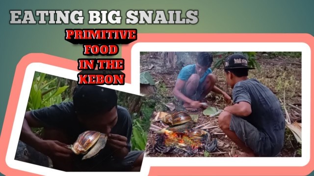 'PRIMITIVE FOOD SURVIVAL | EATING BIG SNAILS'