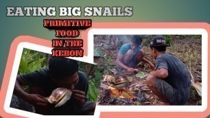 'PRIMITIVE FOOD SURVIVAL | EATING BIG SNAILS'