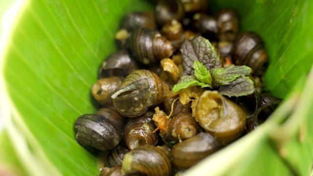 'Indian Food: FRIED SNAILS (Khorphungla Eina Mayangpai) | Manipur, Northeast India'