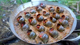 'Survival Food : Cooking Snails On Sand'