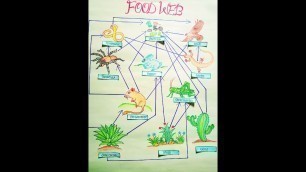 'l Chart and Model on Food Chain l Food Web Diagram #shorts #ytshorts'