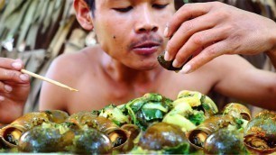 'Yummy Comes from Spicy snails food -  Eating Snail Recipe Food'