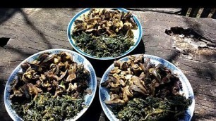 'Tasty nature food - snails,morel mushroms,nettle and wild onion!'