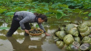 'The eldest sister catches snails to make traditional Chinese food 荷花池裡沒人要的田螺，大姐撿來做田螺鴨腳煲，好吃到停不下來｜柳州大姐'