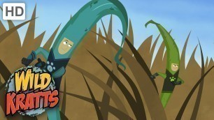 'Wild Kratts | The Food Chain Game | Full Episode | Season 1'