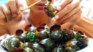 'Delicious Cooking Snails food recipe - fried snail food recipe'