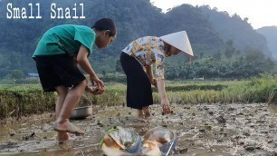 'Fried Snails - Catch & Cook Snails for Food #6'