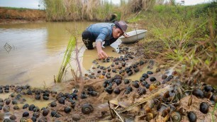 'Finding food and found tons of snails and mussels (clams) by waterway of agriculture'