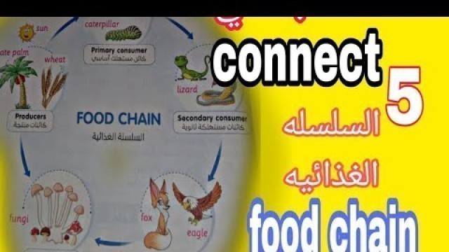 'الصف الخامس الابتدائي لغه انجليزيه كونكت #connect شرح درس السلسله الغذائيه food chain حصه اون لاين'