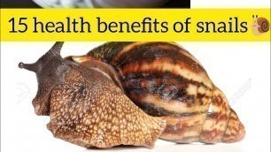 '15 Health benefits of eating African giant #snails  as #food'