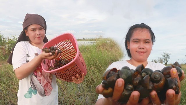 'Find snails in the forest - Collect cooking snails for delicious food'