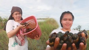 'Find snails in the forest - Collect cooking snails for delicious food'