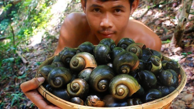 'Finding and cook snail in forest - Delicious Cooking Spicy Snails food'