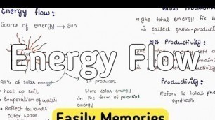 'Energy Flow In An Ecosystem | Food Chain'