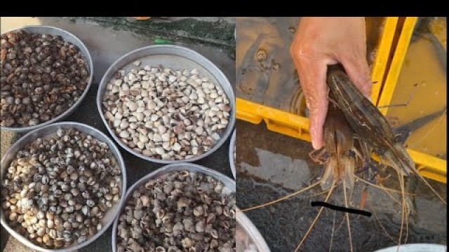 'Sea Food Street shop/Shrimp/Snails/squids #shorts #seafood #FishFunFood #streetshop #vietnamesefood'