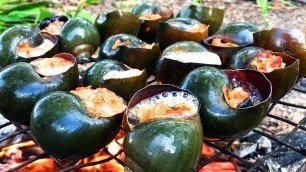 'Grilled Snails bbq for food - Cooking snail bbq with chili sauce recipe'