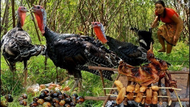 'Solo in forest- Catch turkey duck and pick eggs snails for food- Cooking eating for survival'