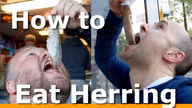 '3 BEST ways to Eat Herring in Amsterdam with Woltersworld'