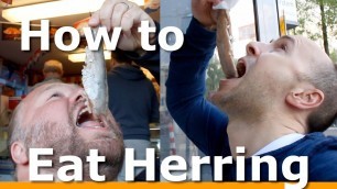 '3 BEST ways to Eat Herring in Amsterdam with Woltersworld'