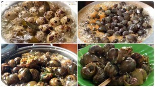 'Shellfishes and Snails in Siem Reap - A Siem Reap Food and Travel cooking'