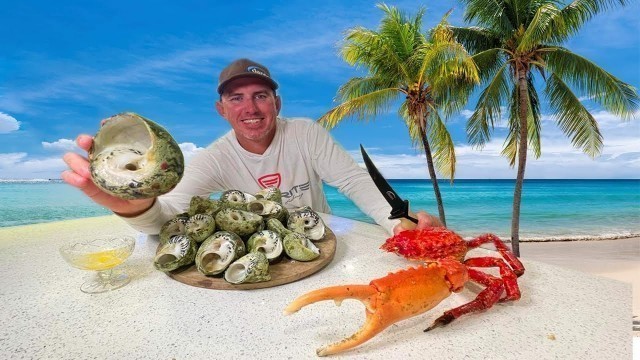 'Foraging for Food on the Beach in Jamaica (Huge Snails and Crab Catch Clean & Cook)'