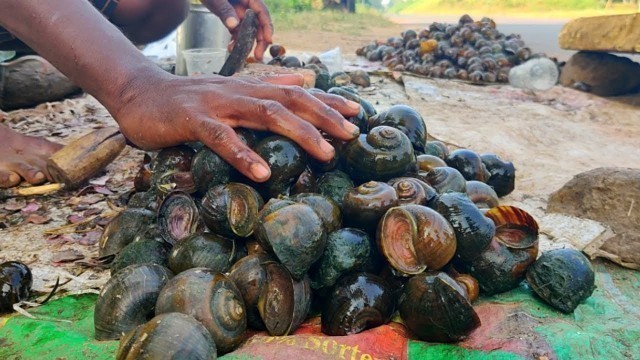 'Lot Of Snails Cleaning Cooking & Eating | How To Clean And Cook Snails | Indian Snails Curry Recipe'