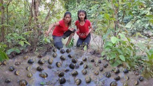 'Survival in the rainforest - Catch and cook snails for food in jungle Eat delicious at night'