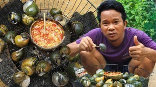 'Grilling Snails BBQ for food to eat with super spicy chili sauce so mouthwatering'