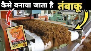 'Tobacco Manufacturing Process  | देखिये Factory में तंबाकू कैसे बनाया जाता है | Food manufacturing'