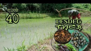 'rice planting day and picking snails for food | life in the Philippine countryside'