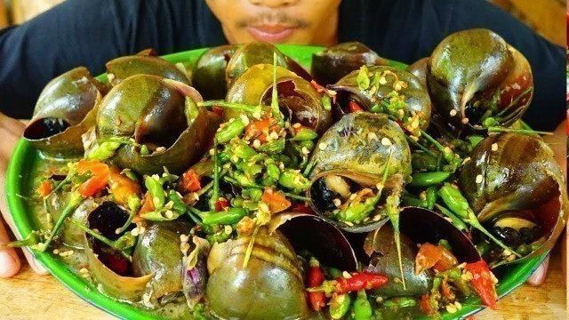 'Yummy Cooking Spicy Snails food for eating - Delicious snails food'