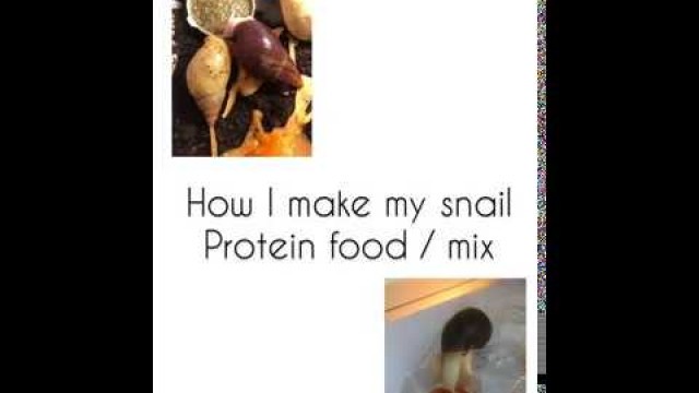 'How to make protein mix / feed for giant African land snails'