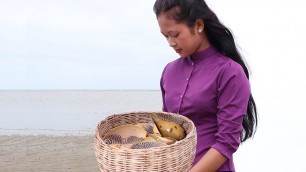 'Food tasty from snails collected at the beach for dinner'