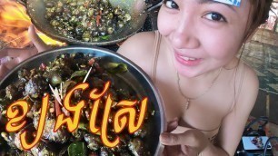 'cooking snails - eat delicious snails - street food - ក្រោយសម្រាកថត'